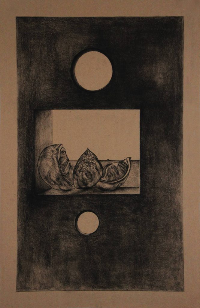 Naturaleza y Vida en Carboncillo. Obra de arte Original de Andrés Alfonso en carboncillo-naranja