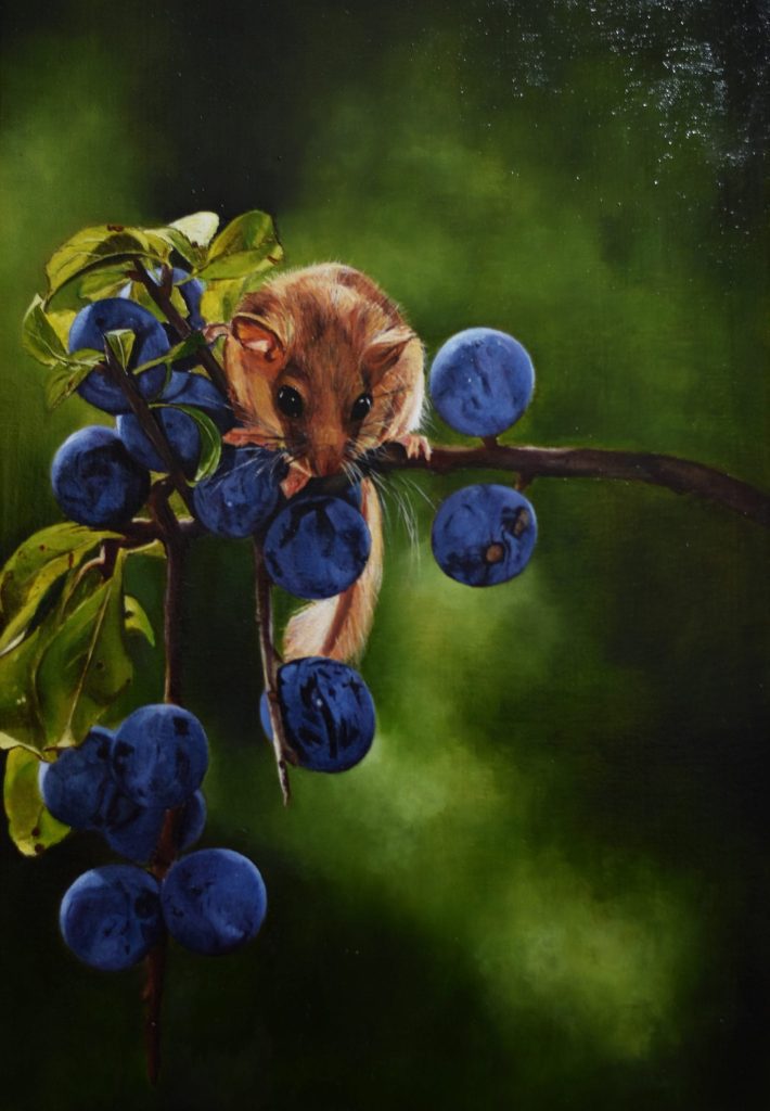Bodegón de lirón comiendo bayas azules en una rama, pintura de Andrés Alfonso.